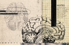 Безумен, но не болен