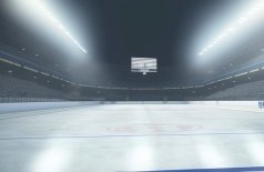 5 лет IceFights