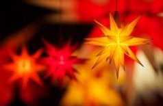 Чудеса у Лукоморья