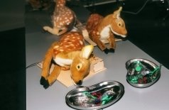 Научный Новый год Sciencely