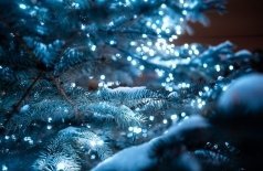 Двенадцать пассажиров