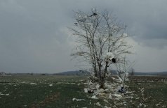 Второе дно