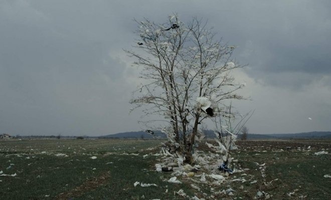 Второе дно