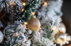 Приключения Буратино. Золотой ключик к Новому году