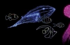 Представление световых кукол с гигантским осьминогом