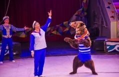 Тайна пирата