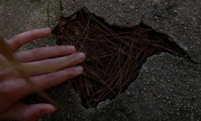 Док индустрия: короткий метр