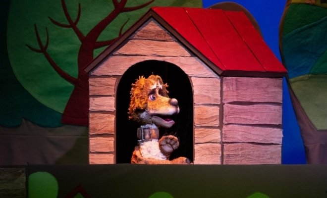 Авыл эте Акбай / Деревенский пёс Акбай