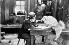 Золотая лихорадка