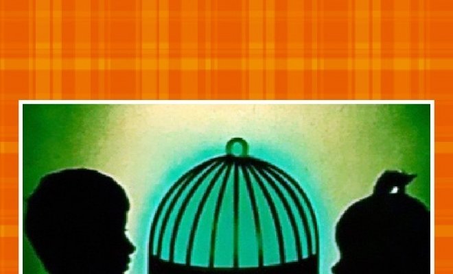 Синяя птица