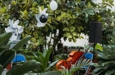 Тёплый джаз для малышей в оранжерее