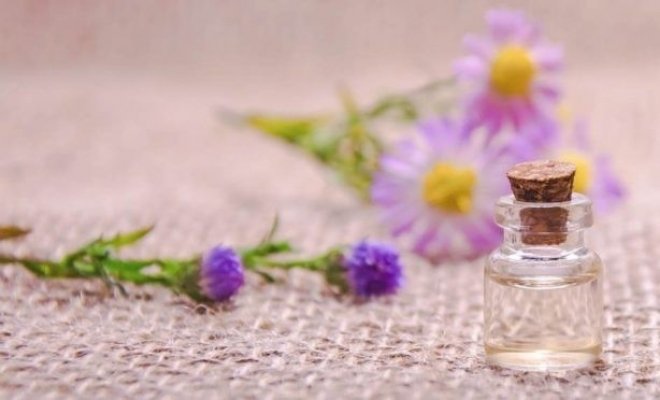 Комбо: Арома мастер-класс + интерактивная экскурсия «В тишине»