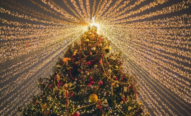 Необыкновенные приключения Пети Перепелкина в Берендеевом царстве