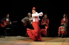 Фламенко. В ритме огня