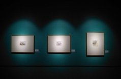 Коллаж осени