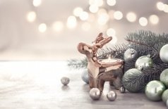 Чудеса из мешка Деда Мороза