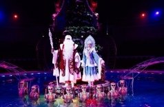 Цирк на воде. Подводное царство