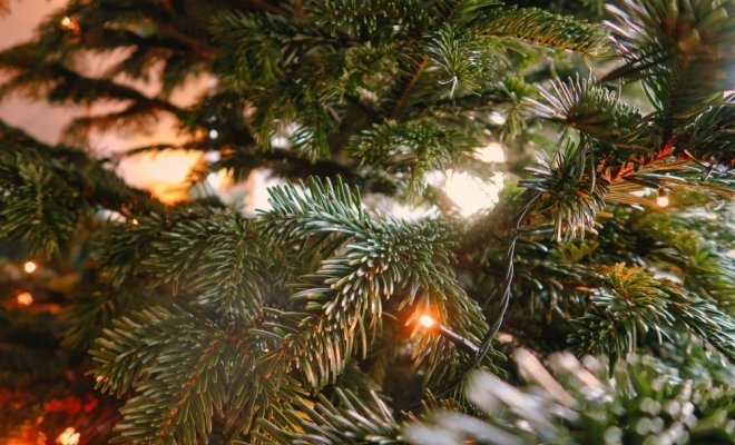 Школа волшебников