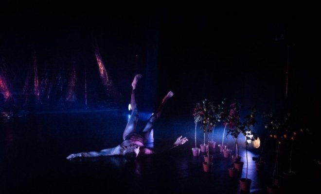 Яблоня на Марсе + Иррациональный