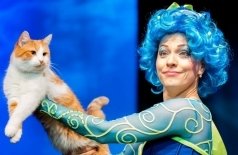 Коты спасают мир