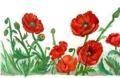 Студия книжной графики. Ботанический атлас