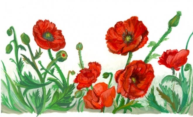 Студия книжной графики. Ботанический атлас