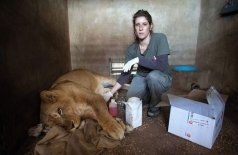 Святой Фёдор Томский. Тайна сибирского старца