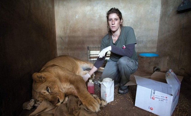 Святой Фёдор Томский. Тайна сибирского старца