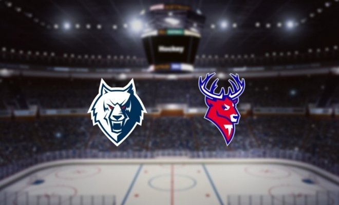 Нефтехимик — Торпедо