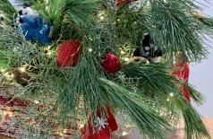 Новый год: История большого праздника. Игра с переводом на РЖЯ