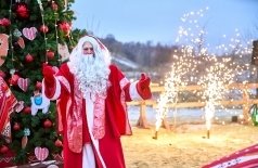 Альпака-ёлка в парке альпак Пача Мама