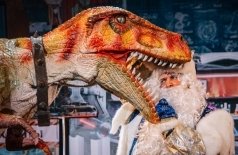 Тайны великих открытий