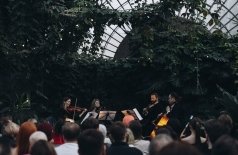 Магия свечей. Шедевры неоклассики: от Ханса Циммера до Людовико Эйнауди в оранжерее