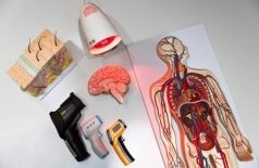 Секреты теплокровных