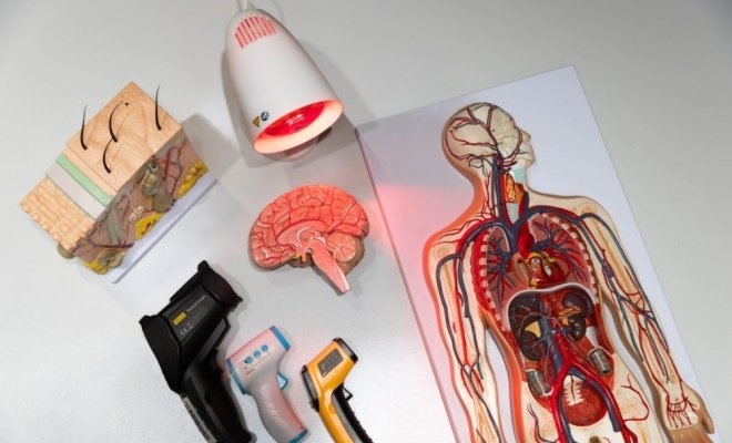 Секреты теплокровных