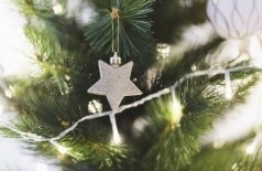 Новогодняя встреча с Анной Купыриной