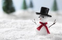 Ми-ми Новый год