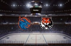 Шанхай Дрэгонс — Амур