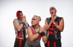 Скворцы Степанова