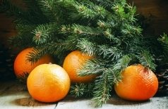 В гости к Деду Морозу