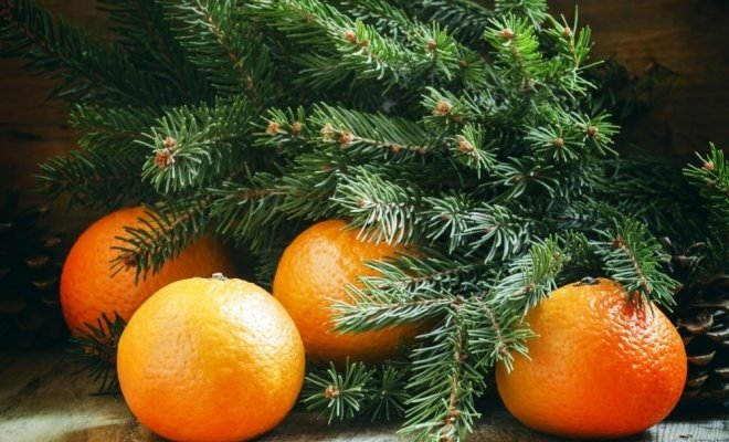 В гости к Деду Морозу