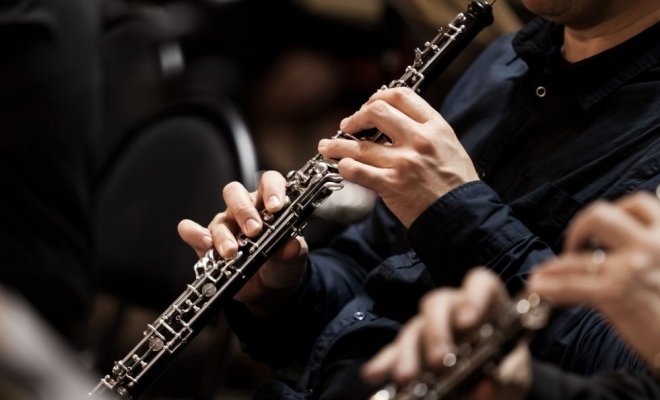 Хоббит. Часть 1. Волшебное кольцо