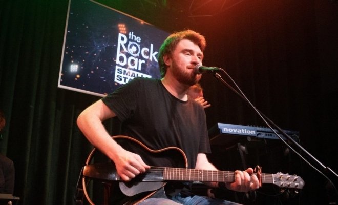 Белки на акации