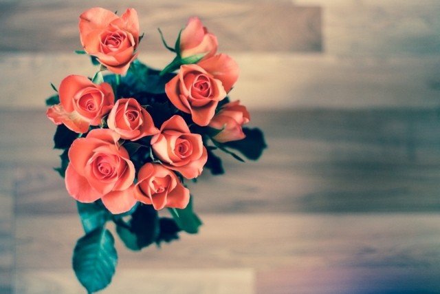 Анализ цветочного рынка в России: тенденции, рост онлайн-продаж и перспективы