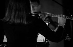 Анна Комарова. Цикл «Рециталы»