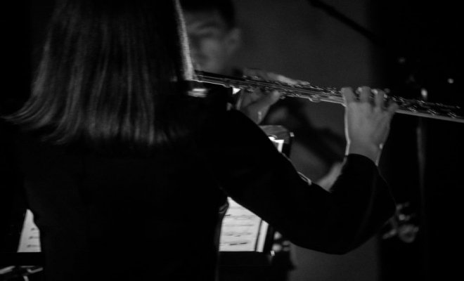 Анна Комарова. Цикл «Рециталы»