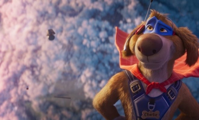 Чарли Чудо-пёс