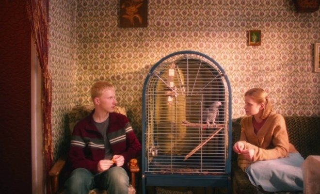 Мальчик-птица