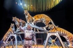 Итальянский цирк: слоны и тигры