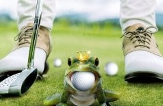 Царевна-лягушка 2